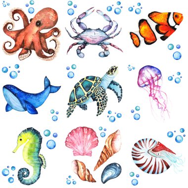 Birçok differentent deniz animasls suluboya resim kümesi