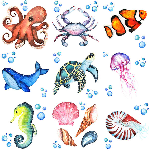 Watercolor illustration set of many differentent sea animasls