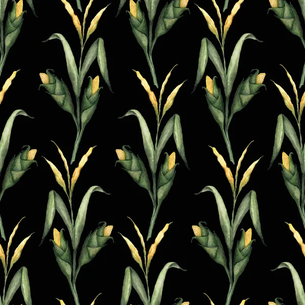 玉米秸秆水彩插图无缝模式 — 图库照片