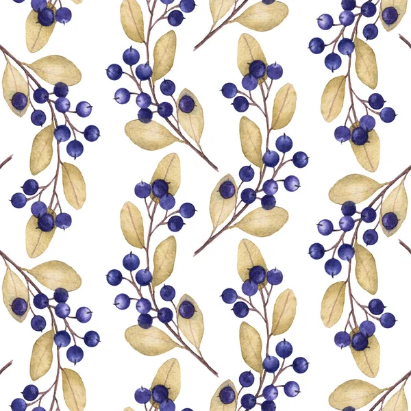 蓝莓的薄水彩树枝与干燥的秋叶被放置在一个明确的顺序在白色背景 完美的花卉或感恩节设计 — 图库照片