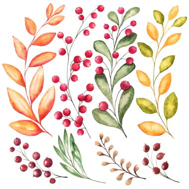 Yeşil, turuncu, sarı yaprakları ve beyaz arka planda sonbahar tasarımı için mükemmel kırmızı cranberries ile 8 suluboya dallar kümesi