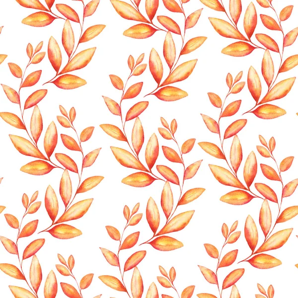 无缝的模式与水彩插图秋季分行在白色背景完美的纺织或包装花卉或感恩节设计 — 图库照片