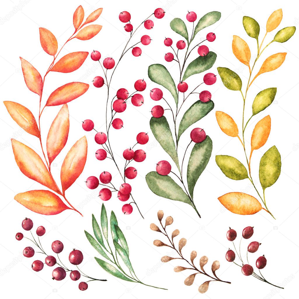 Set of 8 watercolor branches with green, orange, yellow leaves and red cranberries on white background perfect for autumn design