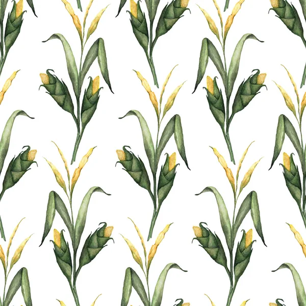 玉米薄水彩茎长叶和成熟的棒子均匀放置在白色背景完美的纺织品或包装花卉和感恩节设计 — 图库照片