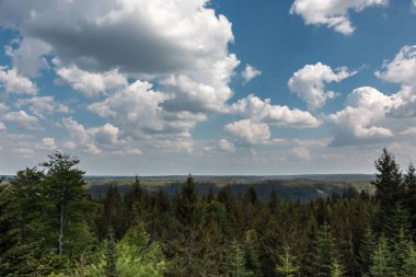 Ormanlar, alanlar ve çayırlar ile Alman kırsal