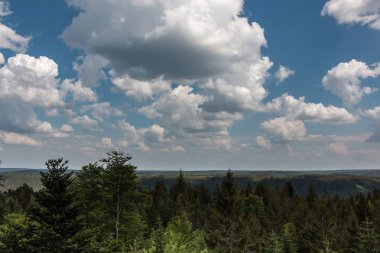 Ormanlar, alanlar ve çayırlar ile Alman kırsal