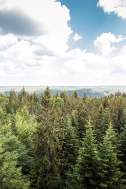 Ormanlar, alanlar ve çayırlar ile Alman kırsal