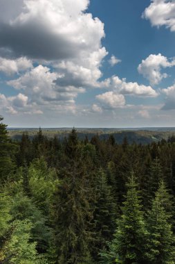 Ormanlar, alanlar ve çayırlar ile Alman kırsal
