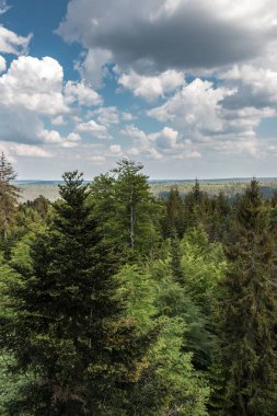 Ormanlar, alanlar ve çayırlar ile Alman kırsal