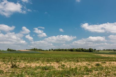 Ormanlar, alanlar ve çayırlar ile Alman kırsal