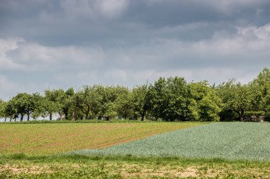 Ormanlar, alanlar ve çayırlar ile Alman kırsal