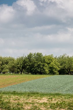 Ormanlar, alanlar ve çayırlar ile Alman kırsal