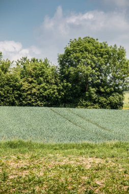 Ormanlar, alanlar ve çayırlar ile Alman kırsal