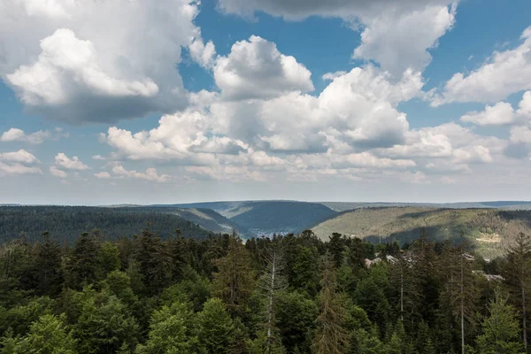 Kara Orman ortasında Alman kırsal