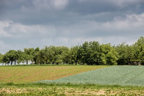 Ormanlar, alanlar ve çayırlar ile Alman kırsal