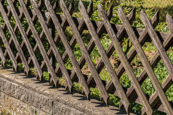 Yeşil bir bahçe çit