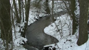 Karlı ülke üzerinden küçük buzlu creek