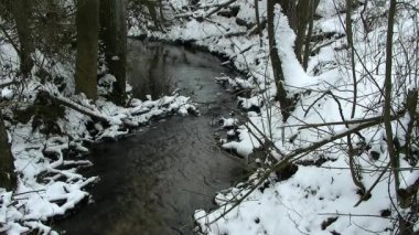 Karlı ülke üzerinden küçük buzlu creek