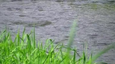 Geniş ülke üzerinden temiz su akan