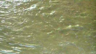 Geniş ülke üzerinden temiz su akan