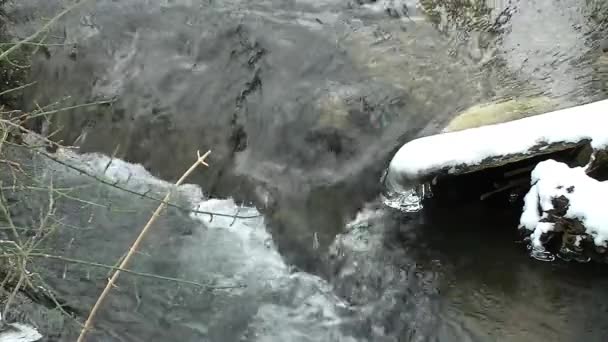 Kleiner Eisiger Bach Durch Das Verschneite Land — Stockvideo