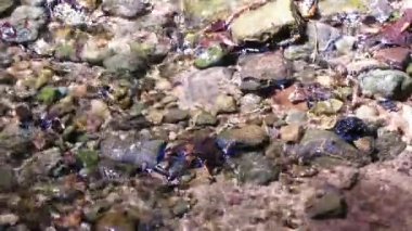 Geniş ülke üzerinden temiz su akan