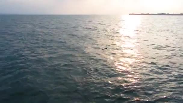 Tramonto Mare Azzurro — Video Stock