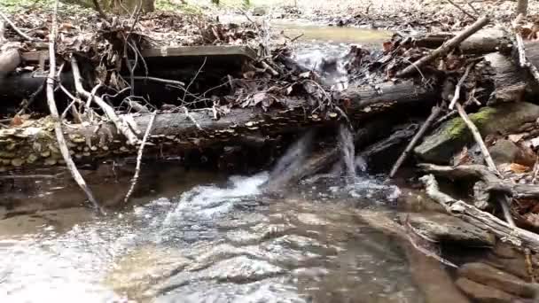 Fluindo Água Limpa Através País Largo — Vídeo de Stock