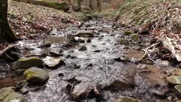 Agua Clara Que Fluye Por Todo País — Vídeos de Stock