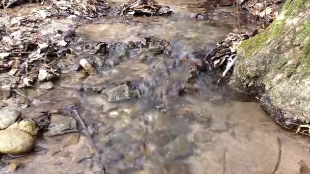 Flowing Clear Water Wide Country — Stock Video