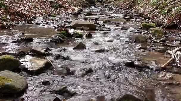 Agua Clara Que Fluye Por Todo País — Vídeo de stock