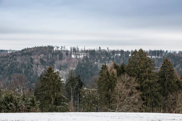 Paisagem de inverno com gelo e um campo de neve — Fotografia de Stock