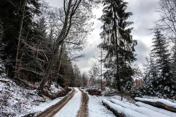 Caminho de floresta nevada no meio da floresta de inverno — Fotografia de Stock