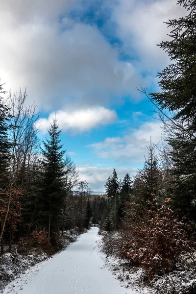 Caminho de floresta nevada no meio da floresta de inverno — Fotografia de Stock