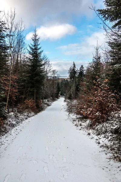 Caminho de floresta nevada no meio da floresta de inverno — Fotografia de Stock