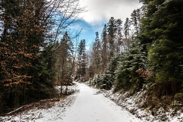 Caminho de floresta nevada no meio da floresta de inverno — Fotografia de Stock