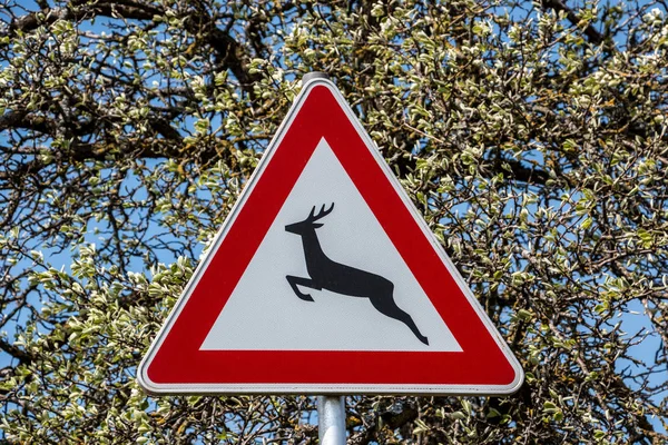 Traffic sign for game trail where wild animals cross the road