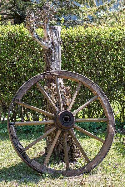Roda de madeira de um treinador de correio no jardim verde — Fotografia de Stock