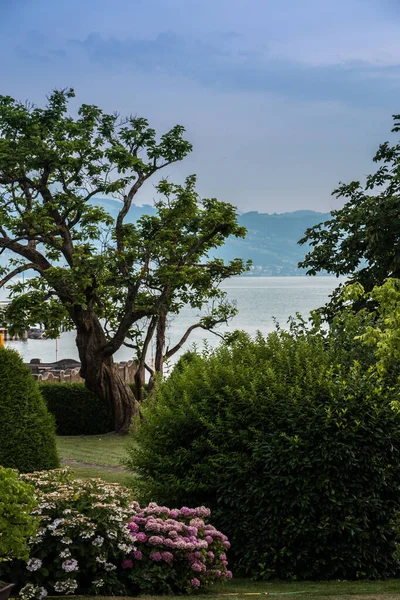 Himmelsk liten trädgård nära sjön — Stockfoto