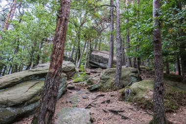 Yeşil ormanın ortasında büyük kayalar.