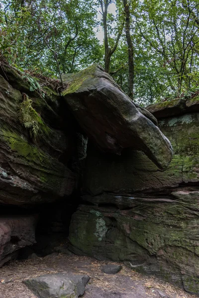 Grandes rocas en medio del verde bosque — Foto de Stock