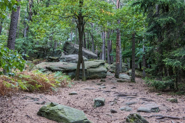 Yeşil ormanın ortasında büyük kayalar. — Stok fotoğraf