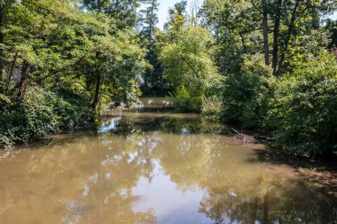 Kırsal kesimde kahverengi suyu olan bir nehir.