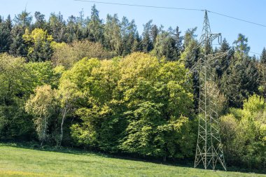 Güç pilonu ormanın yakınındaki yeşil alanda.