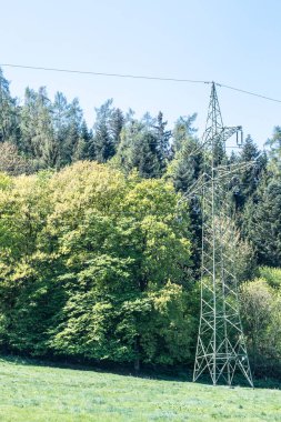 Güç pilonu ormanın yakınındaki yeşil alanda.