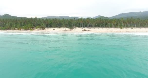 Flygfoto över vacker ö med palmer och turkost vatten. Ovanifrån på sandiga kusten av tropiska bay. 4k — Stockvideo