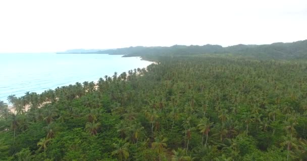 Воздушные беспилотники смотрят видео на красивый пальмовый лес с бирюзовым океаном на горизонте. 4k — стоковое видео