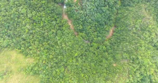 Vista superior na ilha exótica com floresta de palmeiras e cachoeira enorme no meio. Vista aérea dos olhos das aves na ilha verde das Caraíbas. 4k — Vídeo de Stock