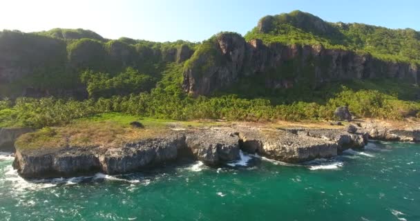 Wilde Natur. Copter Blick auf unberührte Schönheit der Natur. schöne felsige Küste der atlantischen Insel mit Palmenwald. 4k — Stockvideo