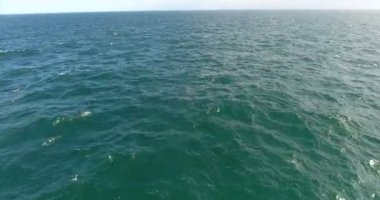 Magnifecent okyanus. Sınırsız okyanus sıçramasına güzel dalgalar deniz helikopter ile vurdu. 4k